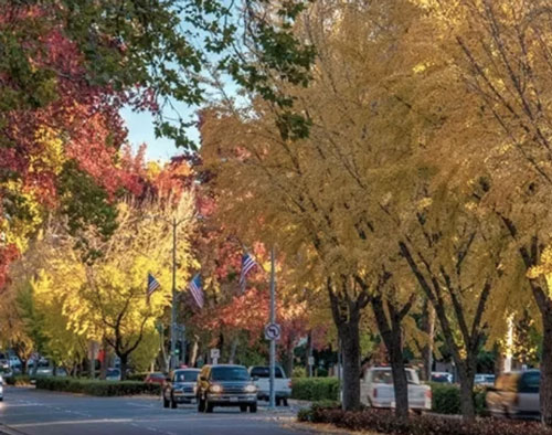 Beautiful Chico California. Beautiful Chico California